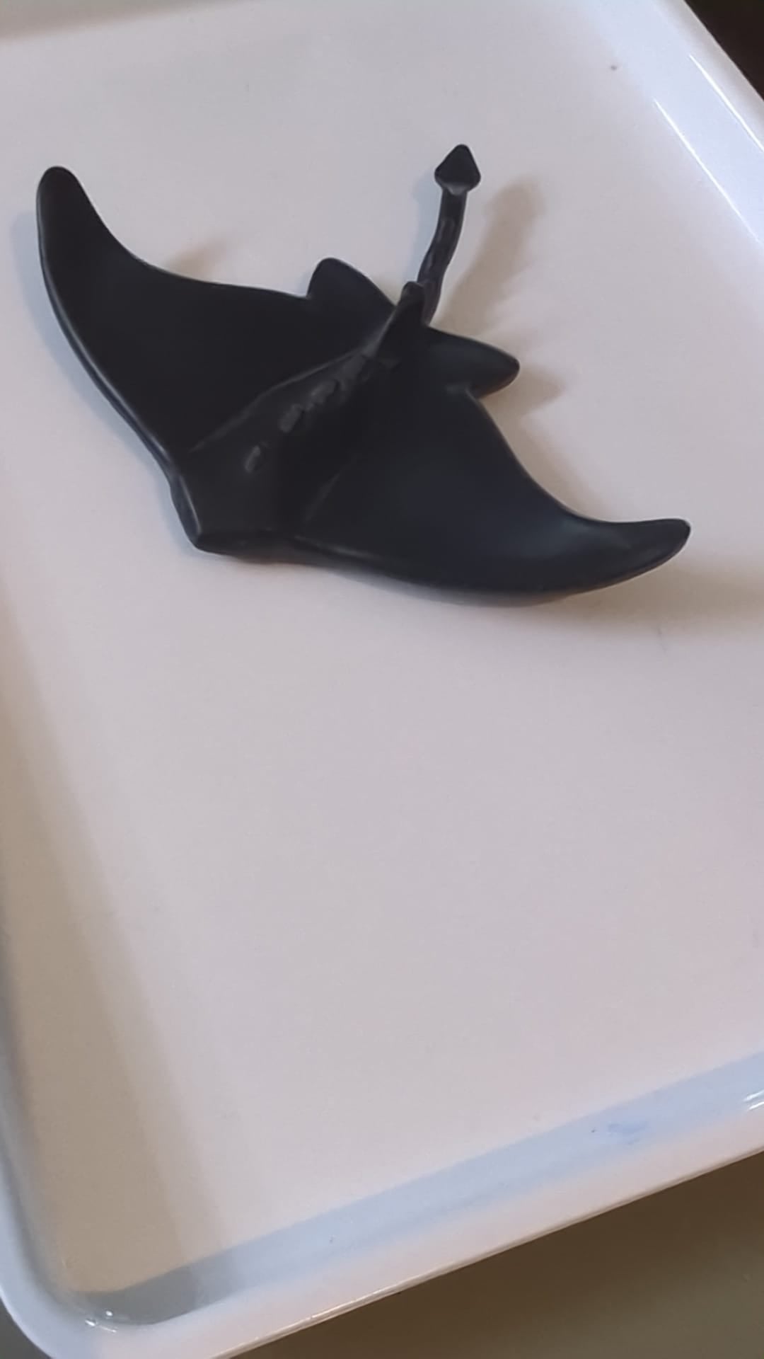 Rochen / Stachelrochen schwarz
