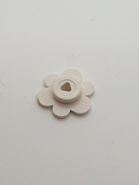 Blüte Blumenkopf weiß white