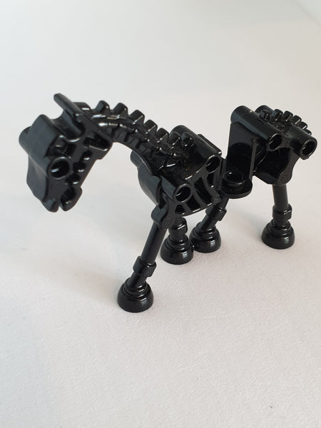 Pferd Skelett schwarz black