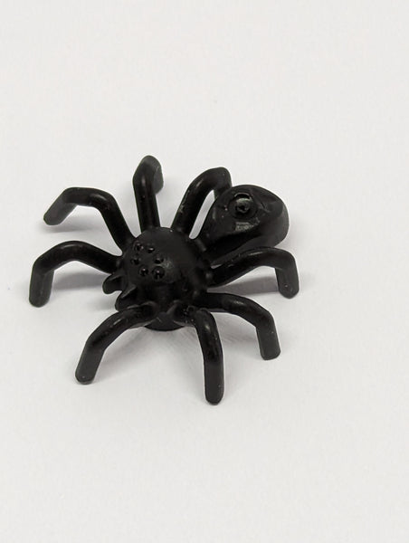 Tier Spinne mit länglichem Körper schwarz black
